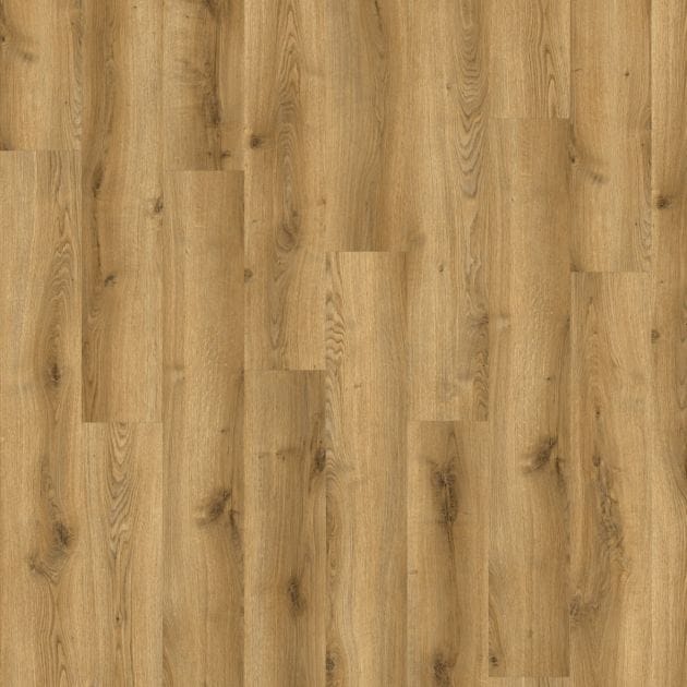 SOLIDA ACOUSTIC OAK SOLIDA ACOUSTIC OAK